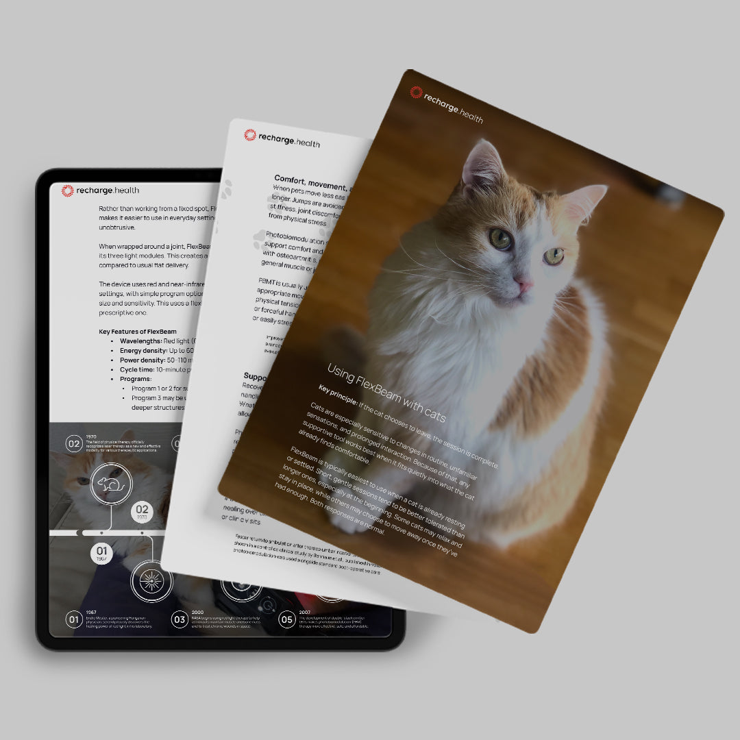 FlexBeam for Animals: Supporting Recovery with Care